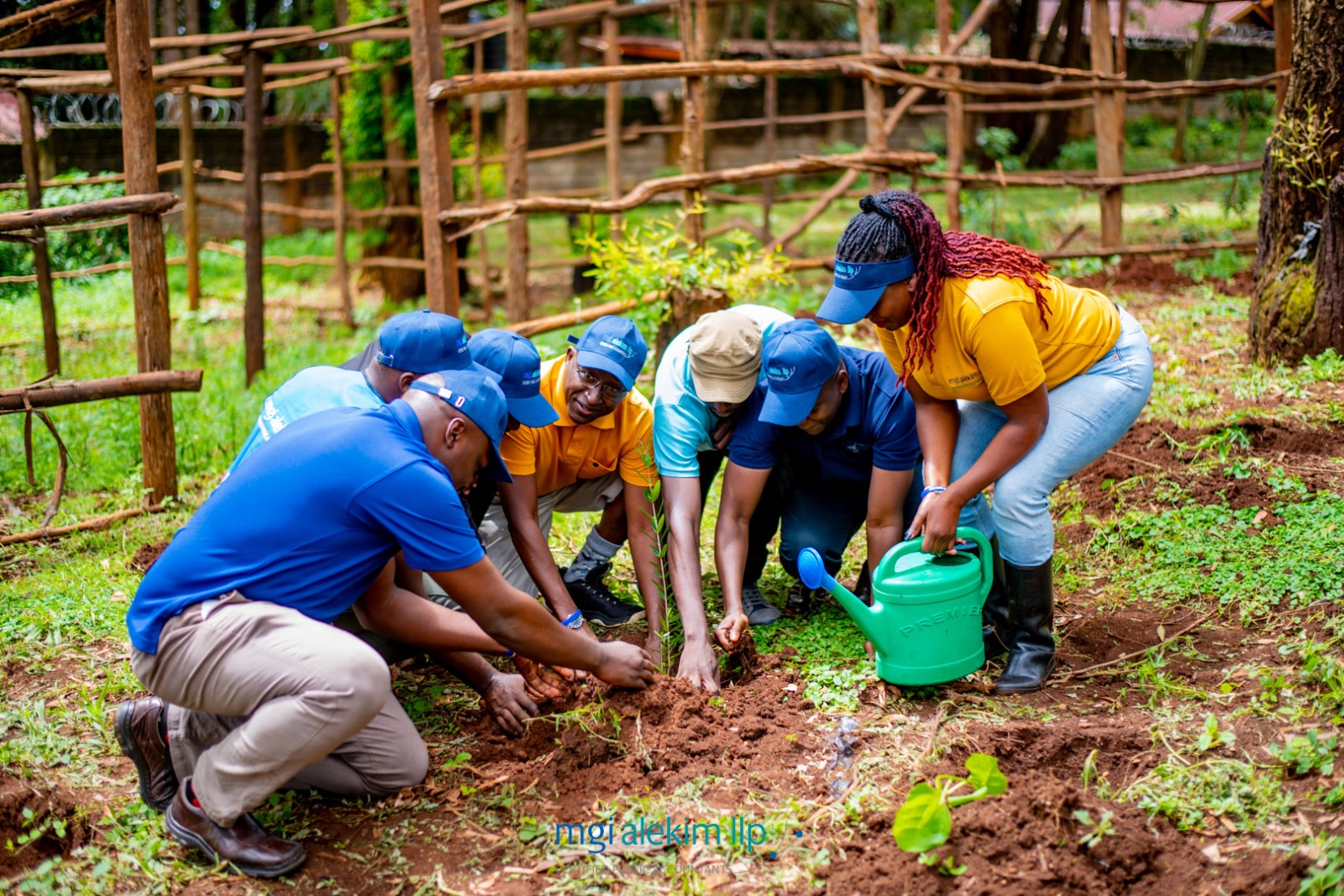 People planting trees